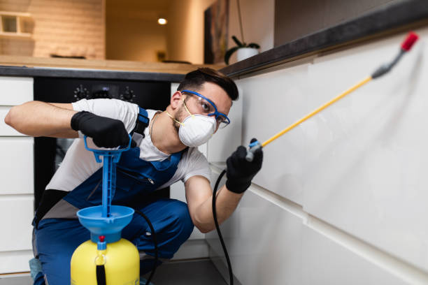 Best Affordable Pest Control Services  in Crandall, TX