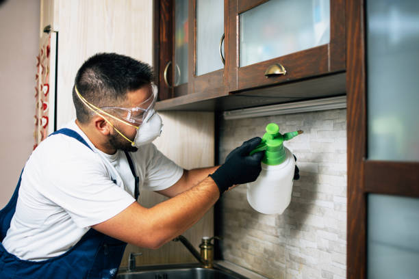 Professional Pest Control in Crandall, TX