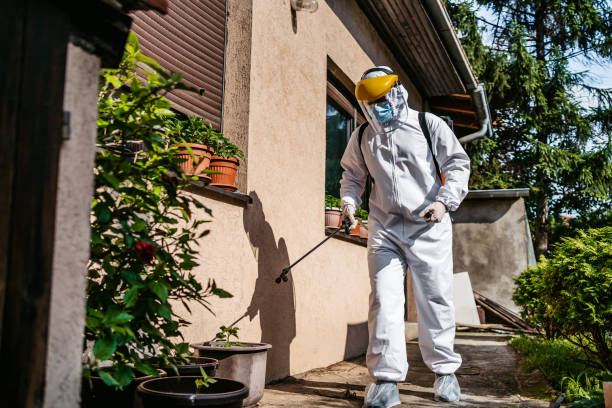 Best Ant Control Services  in Crandall, TX
