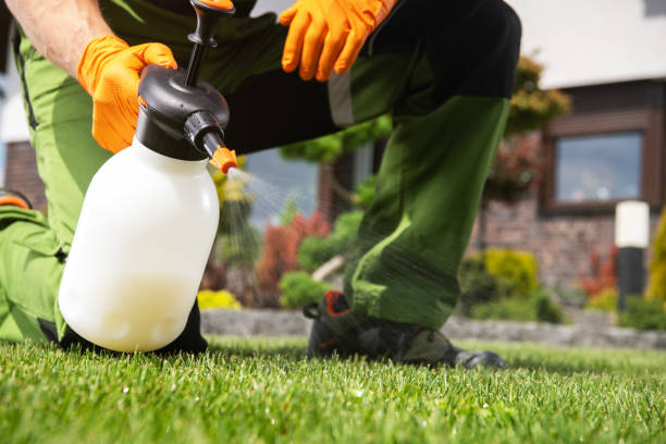 Professional Pest Control in Crandall, TX