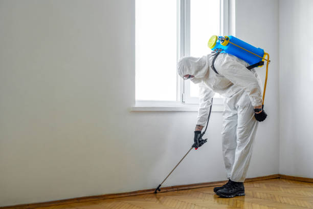 Best Cockroach Control Services  in Crandall, TX
