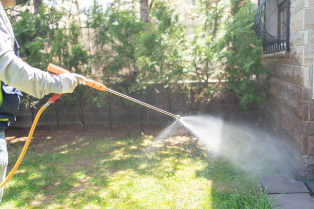Flea Control Services in Crandall, TX