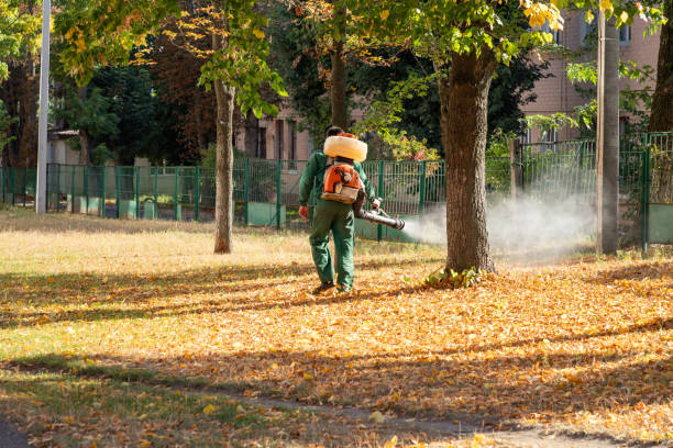 Best Pest Prevention Services  in Crandall, TX