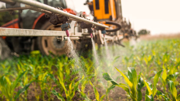 Best Ant Control Services  in Crandall, TX